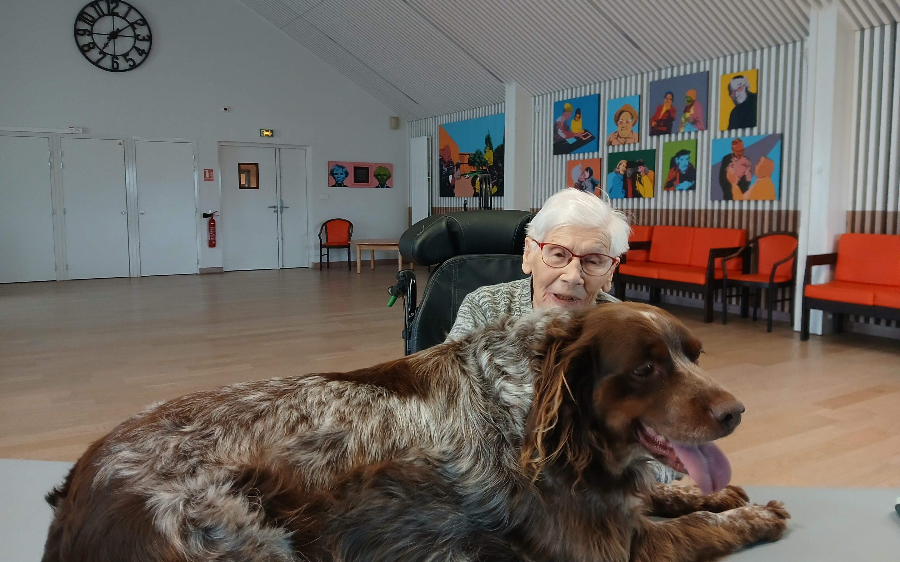 Janvier et Février 2026 – Médiation animale