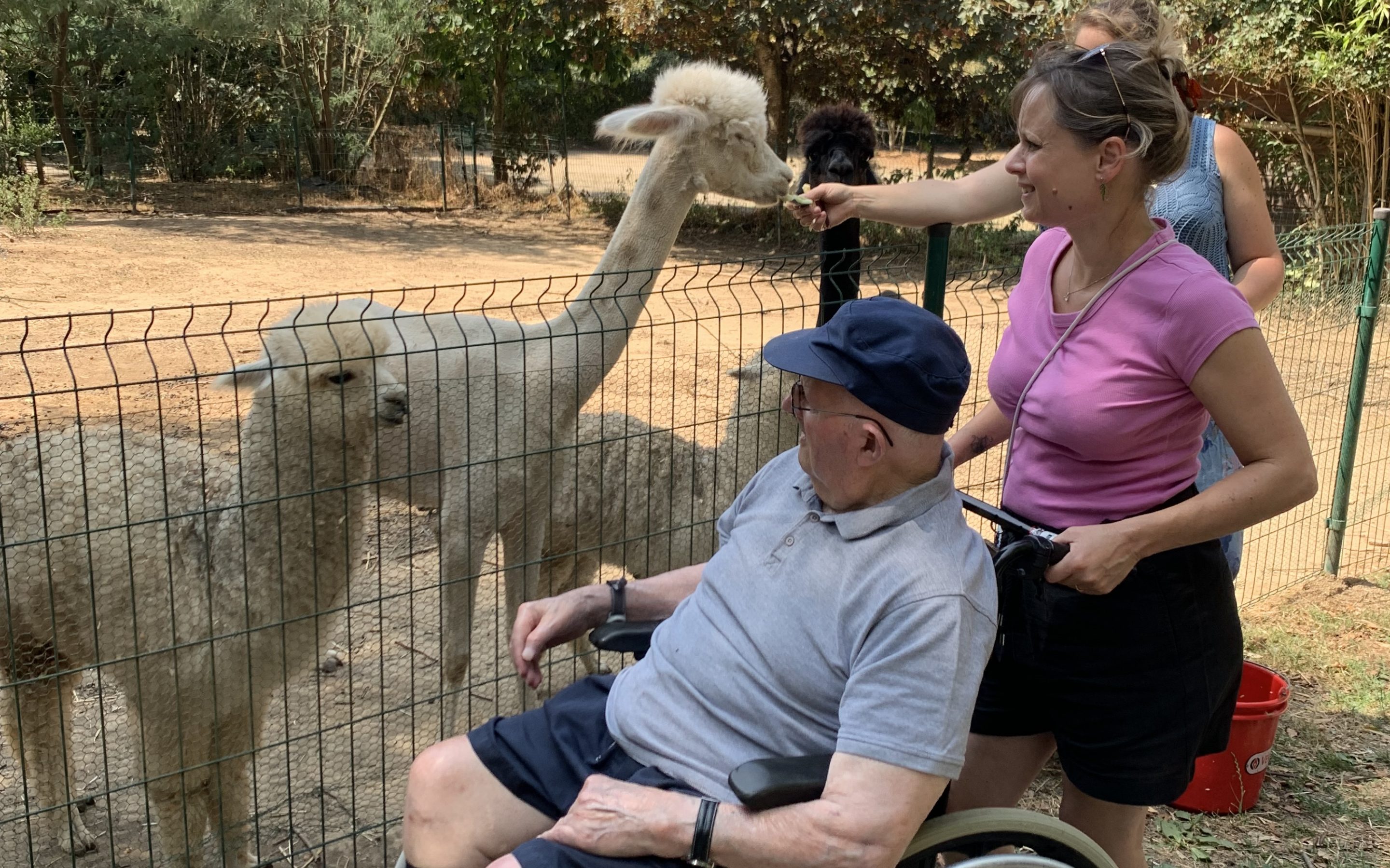 22 Juillet – Sortie parc animalier